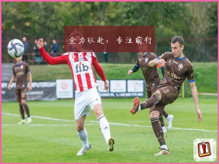全力以赴，专注前行