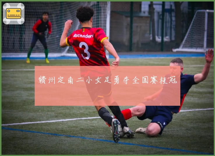 赣州定南二小女足勇夺全国赛桂冠