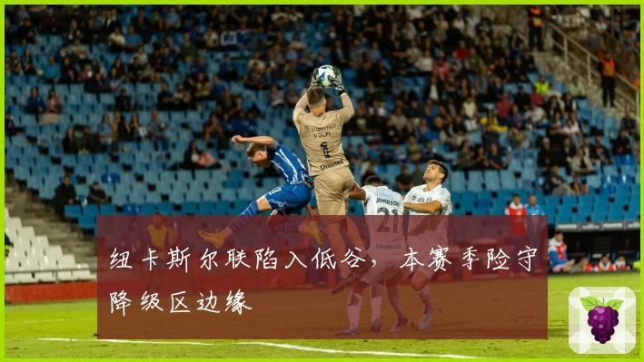 纽卡斯尔联陷入低谷,本赛季险守降级区边缘