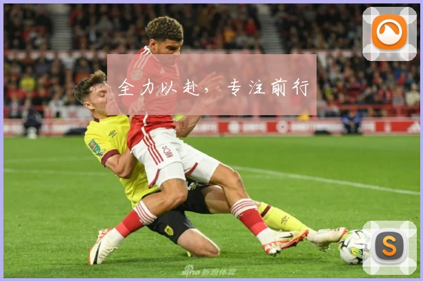 全力以赴，专注前行